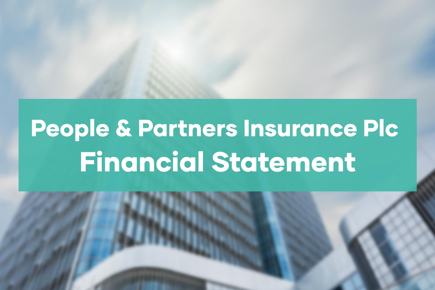 people---partners-insurance-plc-financial-statement